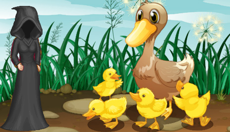 &p=duckblaster